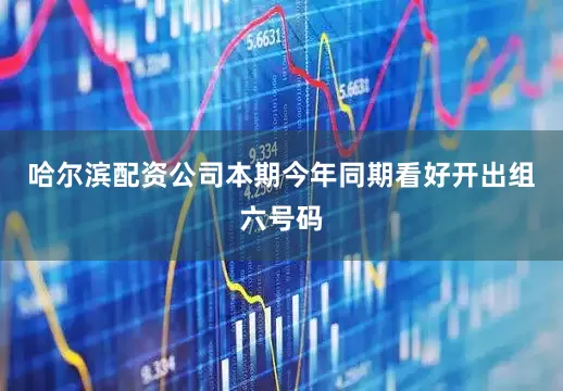 哈尔滨配资公司本期今年同期看好开出组六号码
