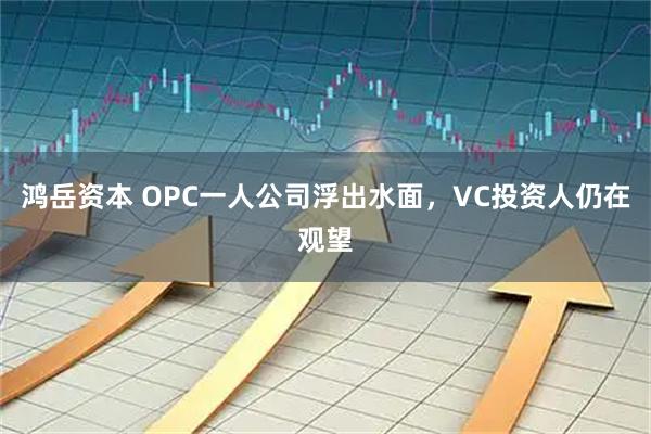 鸿岳资本 OPC一人公司浮出水面,VC投资人仍在观望