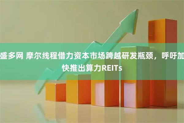 盛多网 摩尔线程借力资本市场跨越研发瓶颈，呼吁加快推出算力REITs