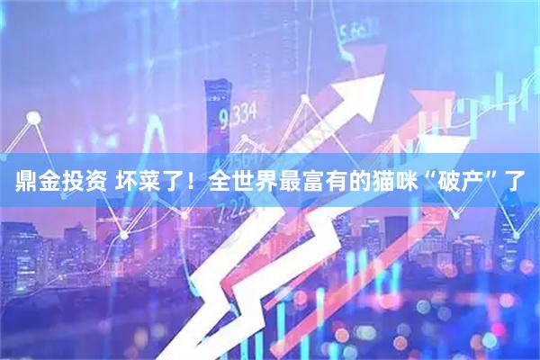 鼎金投资 坏菜了！全世界最富有的猫咪“破产”了