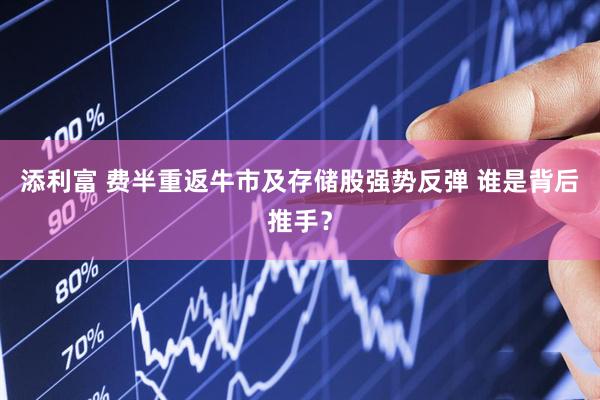 添利富 费半重返牛市及存储股强势反弹 谁是背后推手？